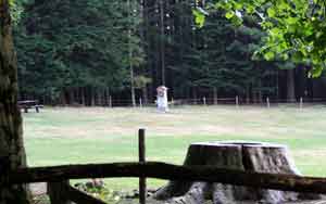 Pratone di Vallombrosa